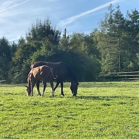 Etzauer Muehle Im Taunus, Mit Balkon Weilrod