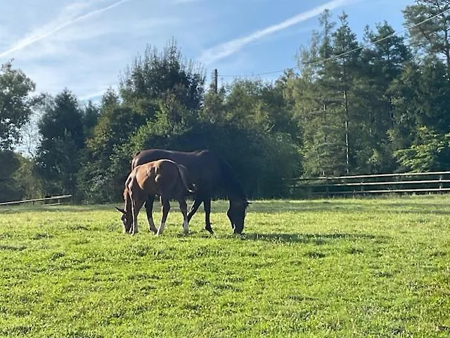 Etzauer Muehle Im Taunus, Mit Balkon Weilrod